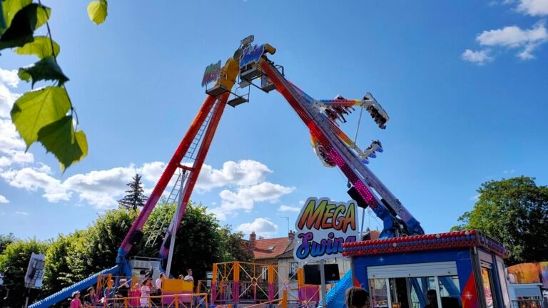 attraction mega swing